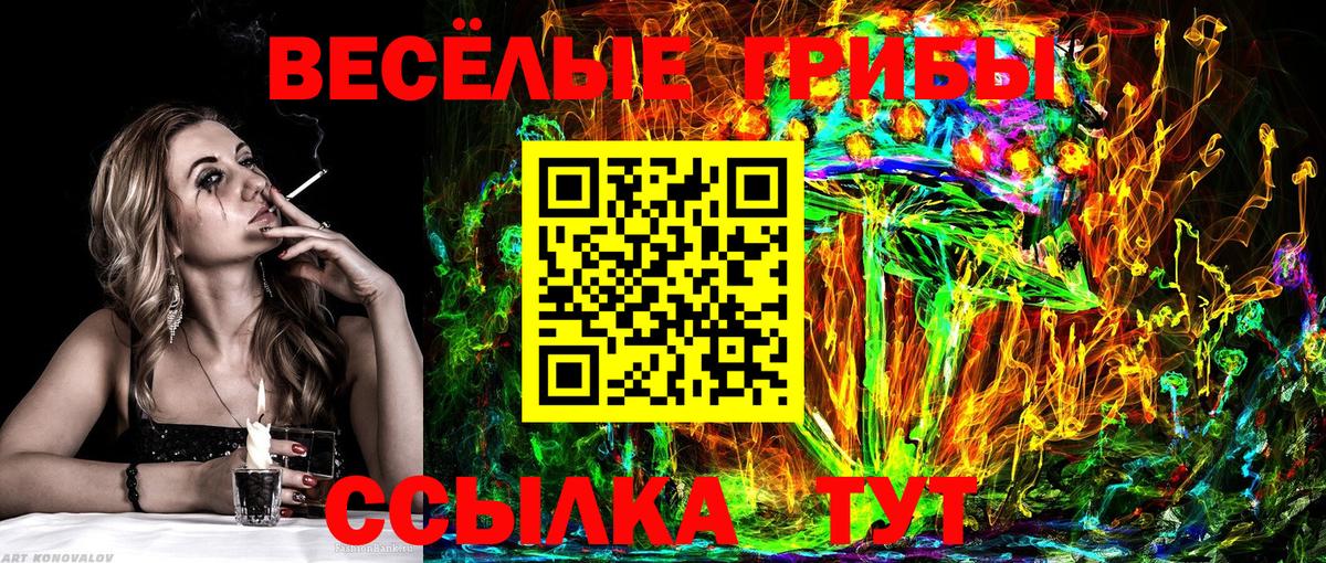 Усть-Илимск  где продают   Вход с VPN  Псилоцибиновые грибы Psilocybe 
